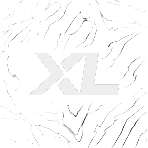 Excel logo WHITE